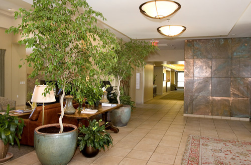 Sherman Home Interior